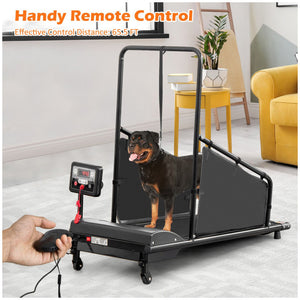 6CTDZt9nGkEOi0MeIPeORT