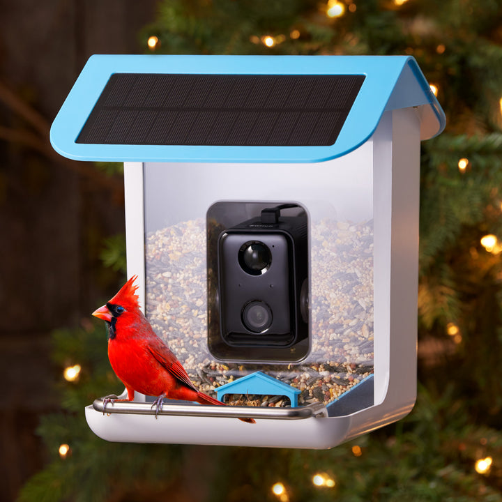 Video Camera Bird Feeder by Sharper Image