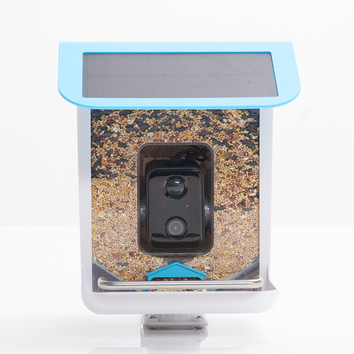 6h50dLHqLoA8GFRf3E5N7n