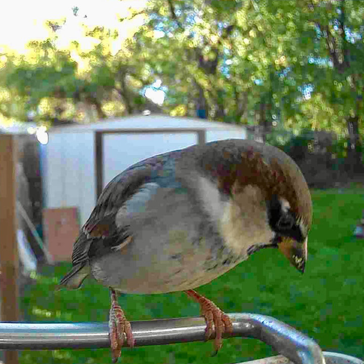 56Y5CLdsCLgUNzoRxVxqMR