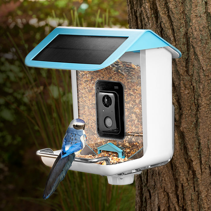 1CyQkMHl8LB0OZgsNVkkkz