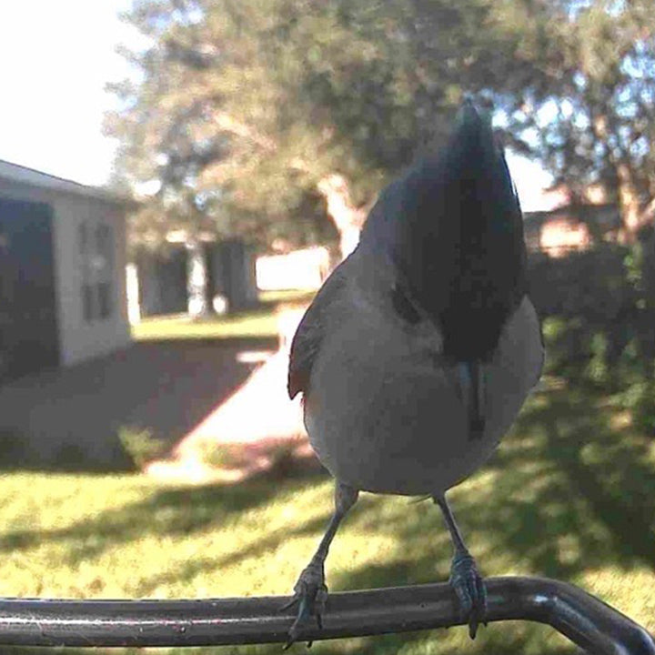 10SThV6M39tBxcZkoxuaWT