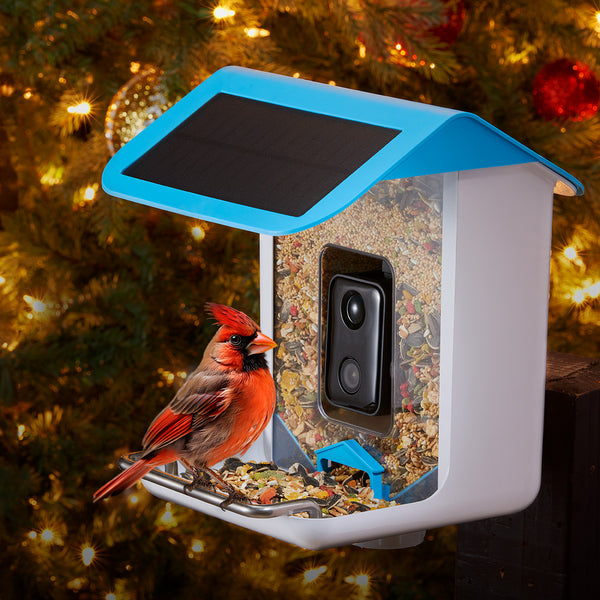 Video Camera Bird Feeder by Sharper Image
