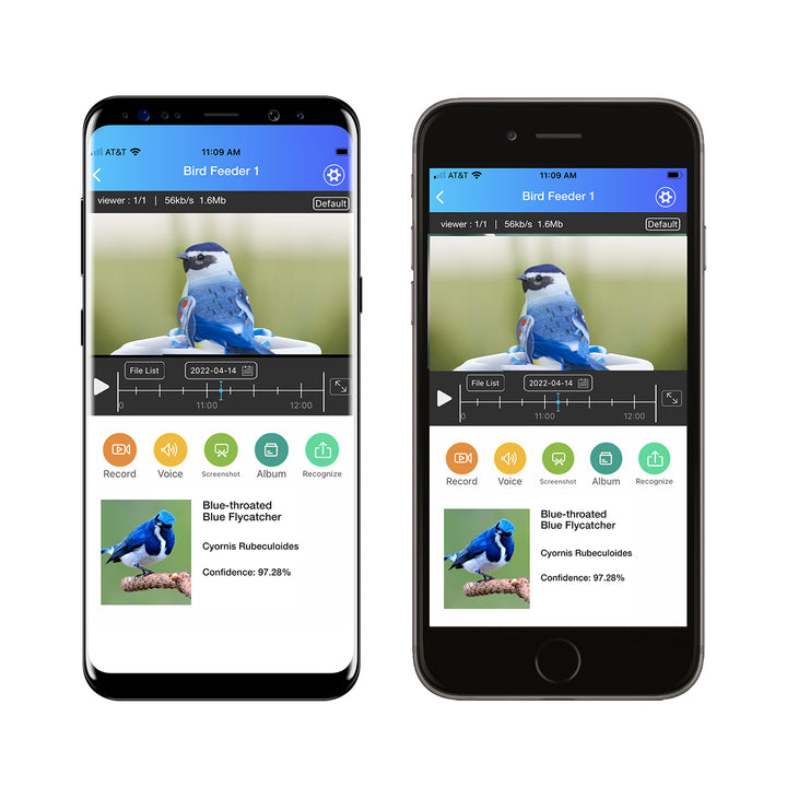 7a0fpSDrBi4sOg7olEYFNN