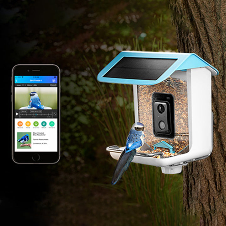 1mywtrbJTal2DHWAvgpXjL