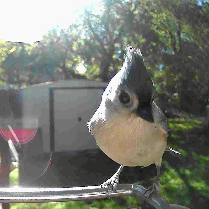 3KmGQG1eNSbVvxmHVHZ4Gr