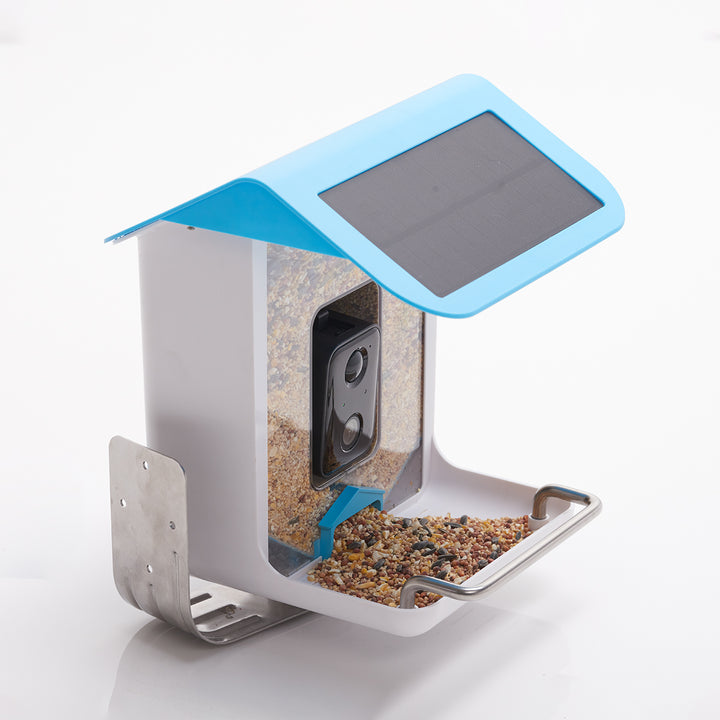 13dWsxo2FAahgMrzSl2B8X