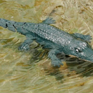 1uU97RMZbxuvLvrfEUvuMb