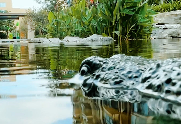 4Wid07dVxWQHcg6MdK3I8