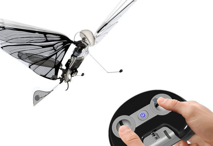 2jRqa8lT1kp4Jpfpoza6ps