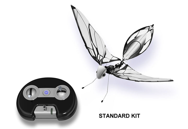 2R4ZcBxowpzoab7JRJcny2