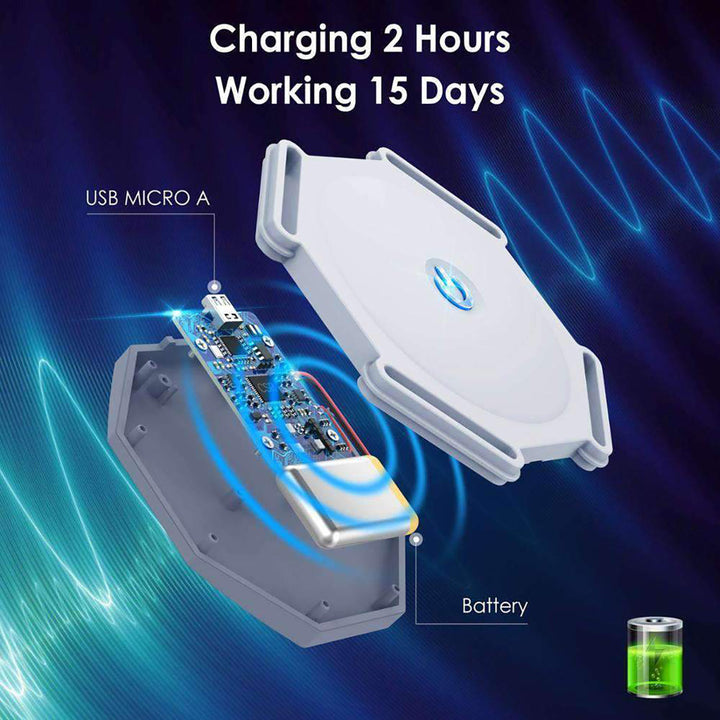 3xjhybCeCTpnHp1yR0yhvS