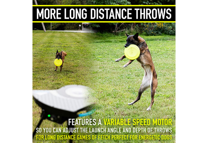 7gsvCTyk8dERCr8hIUYBMb