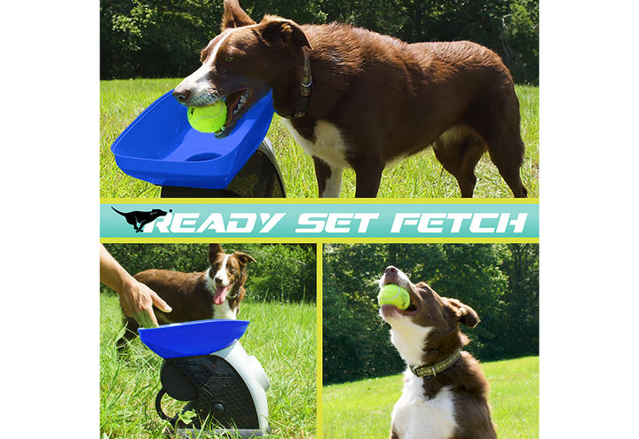 2YEvkZvK8V1Huk93T8qPzs