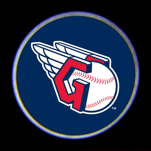 MLB Car Door Light