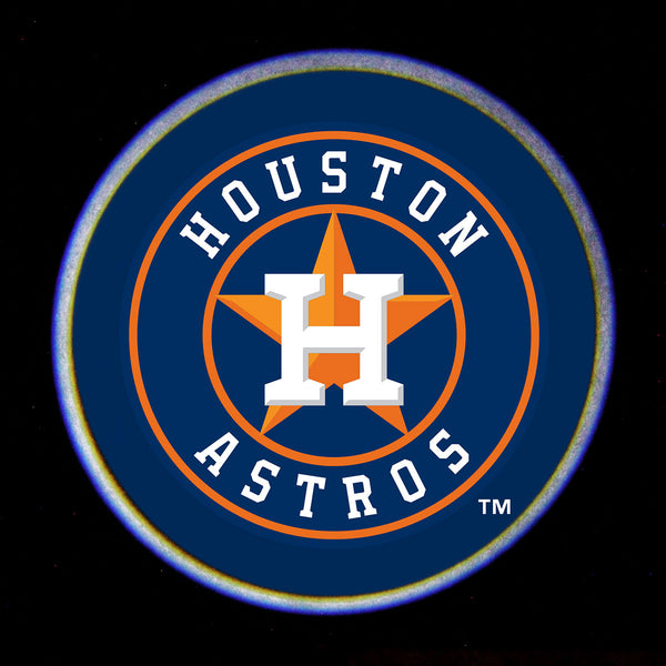 MLB Car Door Light