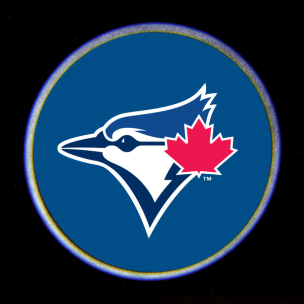 MLB Car Door Light