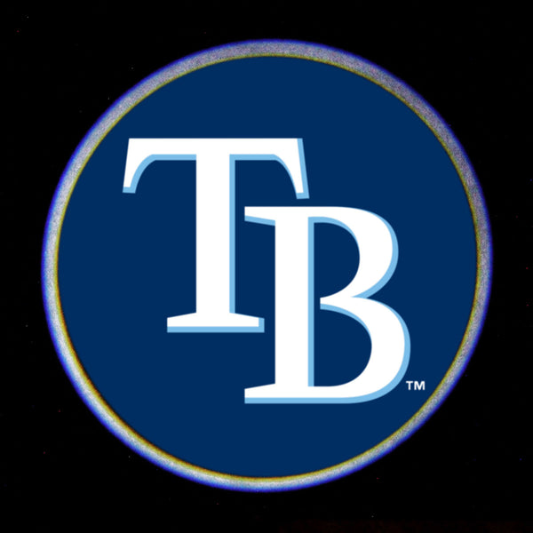 MLB Car Door Light