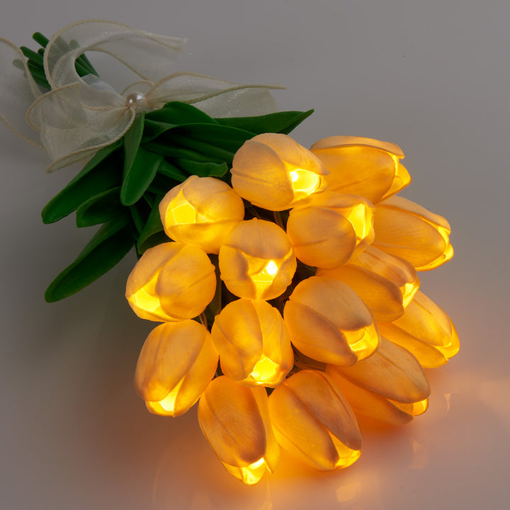 2iQEWr05RXXMd9CAm1uSuP