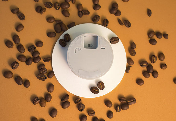 3cUibFNmRU5ph2Lp4YCArZ