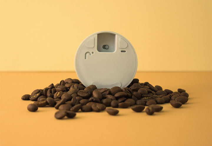 7IVVWjWpvQUqeEhKP9Ght7