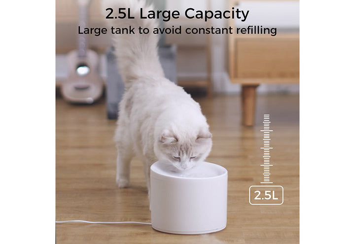 5CPjulZ6T70m9tAwk6kIaH