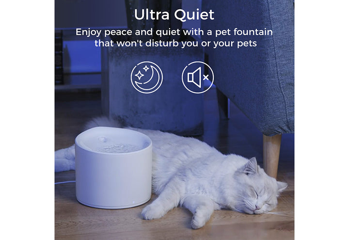 7HlhofNdeEEkM4HRrX0kg4