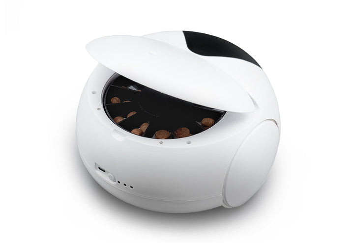 5zaOmtBYXIn9C4UFhCtKc2