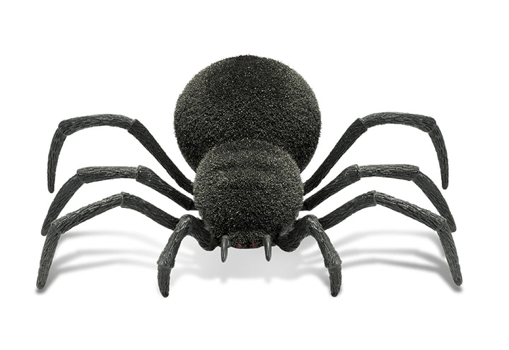 5qY9X8T5AZL3ZL5o0EeX1u