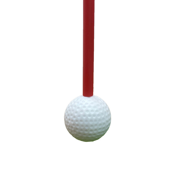 Golf Swing and Hitting Trainer