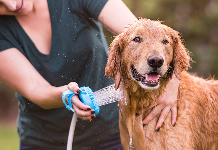 24k8wJOdo6vqmg3eWt6p0i