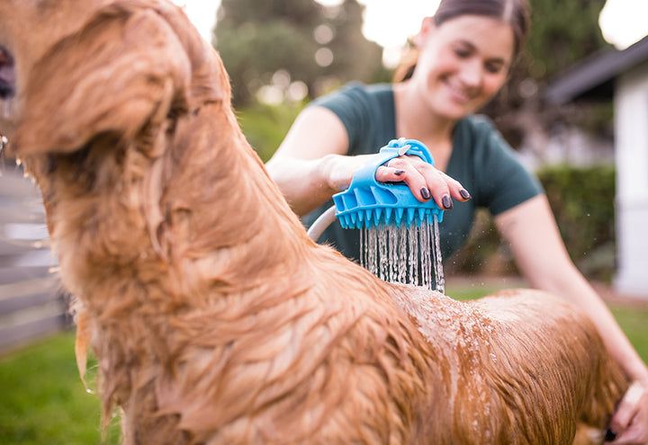 6AlxCerHYPgaxv3OZlNFpK