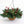 Berry Foliage Hanging Basket with LED Lights