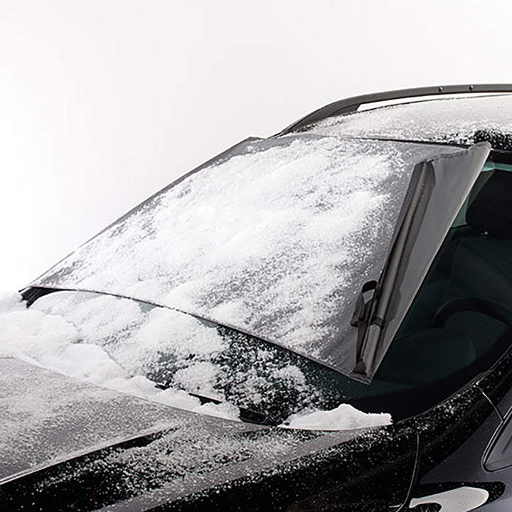 5kNM8LWc2owMHL5skDLnzo