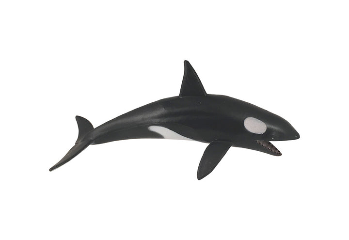 1271lRRtcRb0sQSwE8tUdP