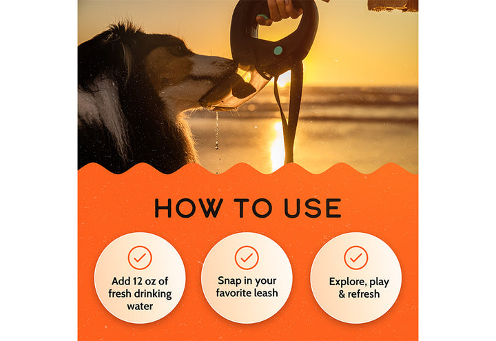 1xNZvyXfVpcxxYKWV6Q3oL