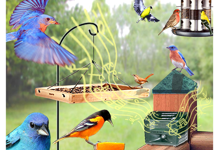 2btViU8YjN03798XpF3Jyu