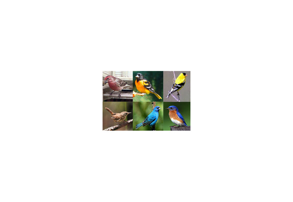 5YqUC7uS0P42J06AmHdY8a