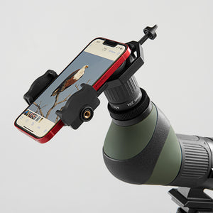 1gJb0XLwgSL3cNGog4zsjB