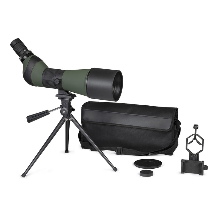 2LPuzoB31orrPWINM54Nqe