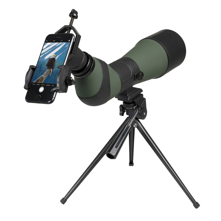 z38JqpD55K8JOSrMibFIk