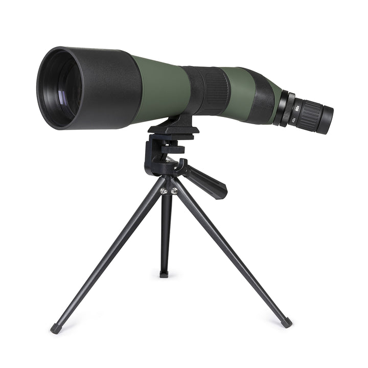 5DFyqsrDdbLTdEltC38P4u