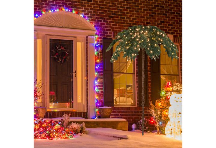 k8R2lp2e216hMpaCQdred