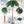 771sZiuEI3WybcPr90nZ5J