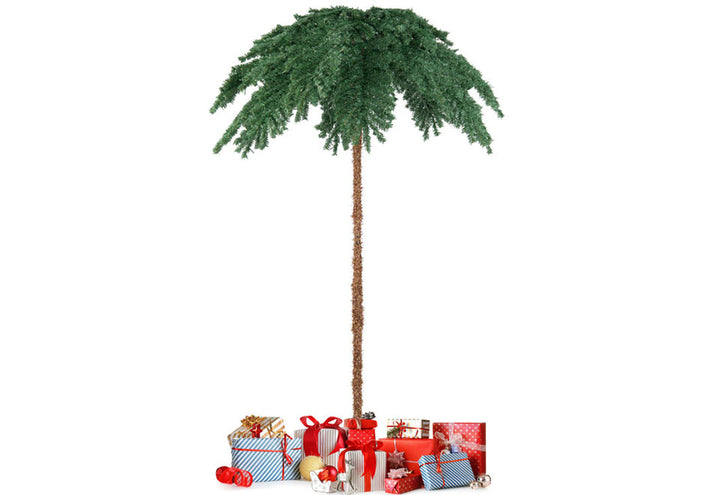 14rOVBCZFeookw7X0zhK1D