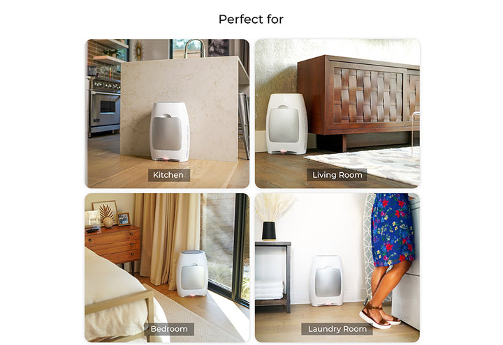 2rAgfxVzN4DBNMbo6dwV03