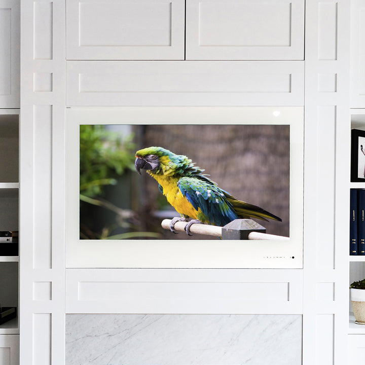 XscXUBSwYylvQ3KxXAOVj