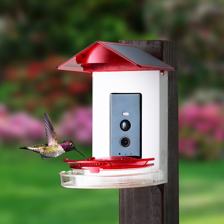 2FWxSSqgds5uPdl5nQbMzE