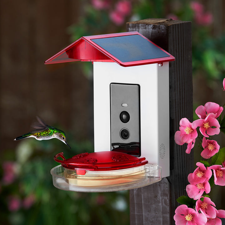 3Swr9ou8jlCFBCNuDnYtah