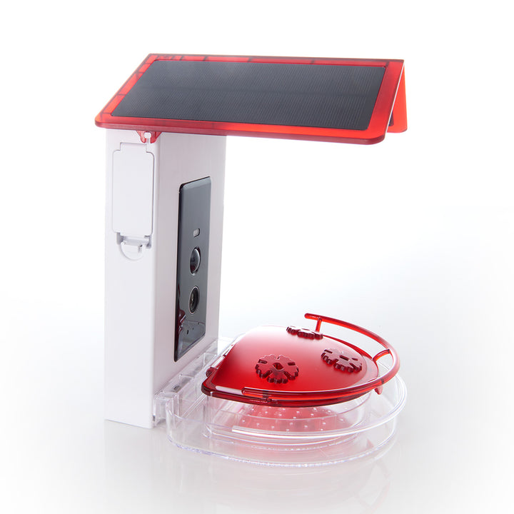 3TJJN2oapBlWoSlAbYBzn3